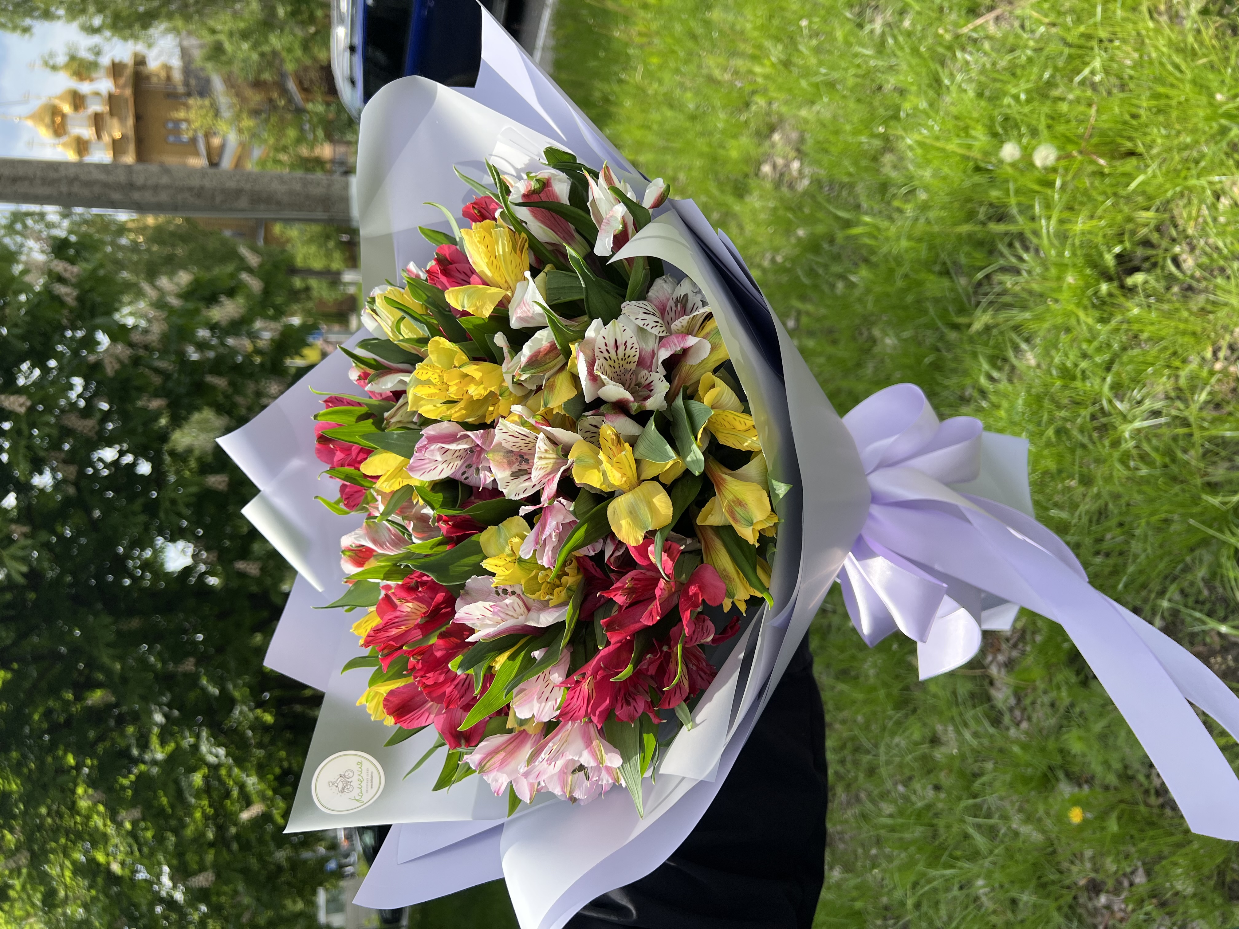 Хорошего дня