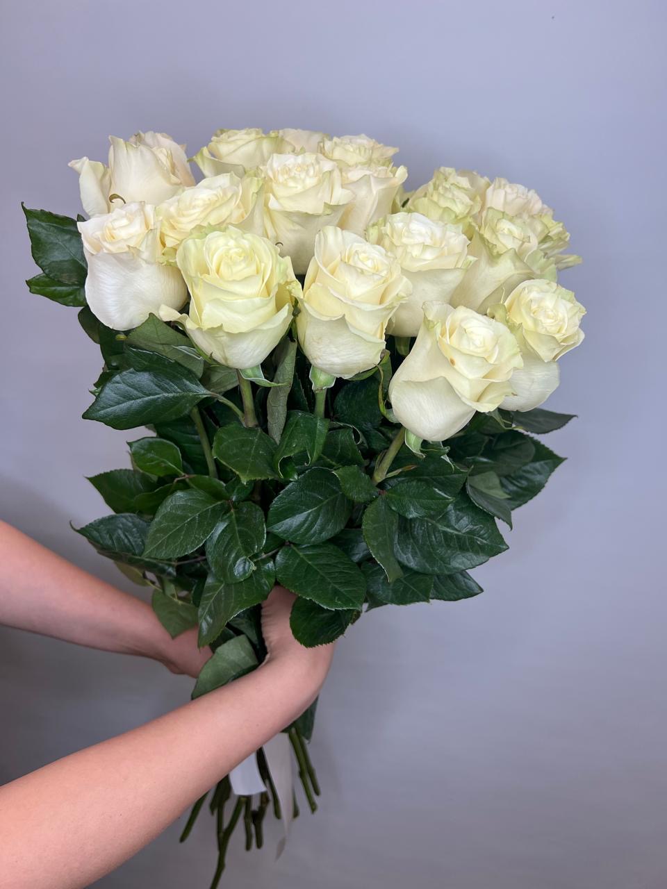 25 импортных роз "Мондиаль" 70 см.