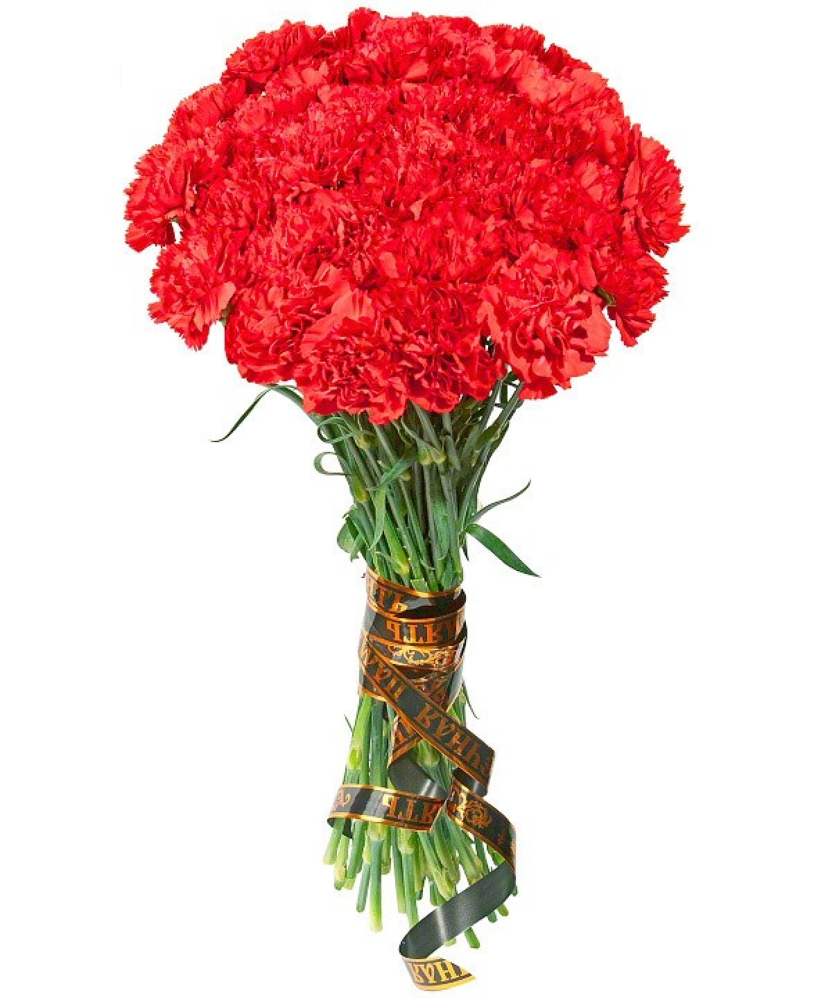 30 красных гвоздик