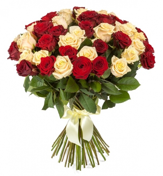 51 кремовая и красная роза 70 см.
