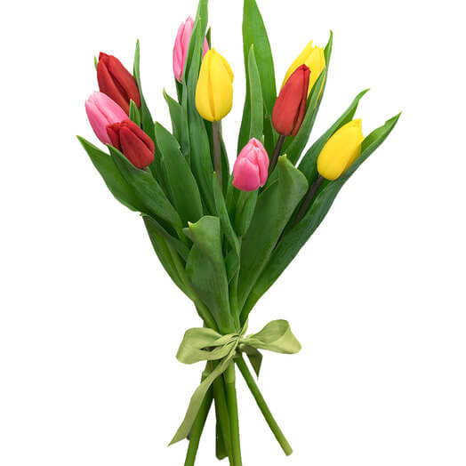 9 тюльпанов микс