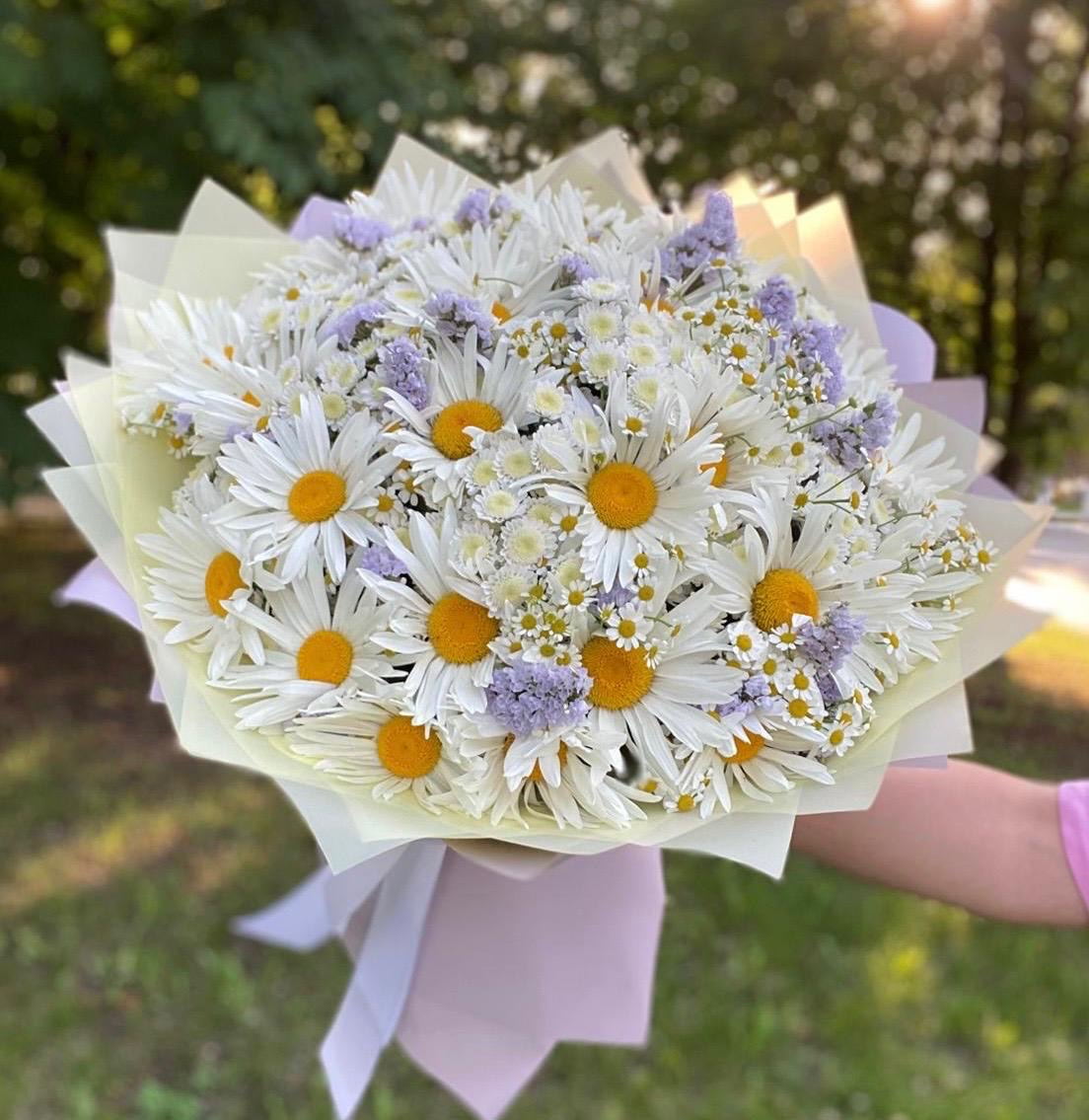 Родные просторы