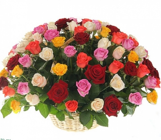 101 роза микс в корзине