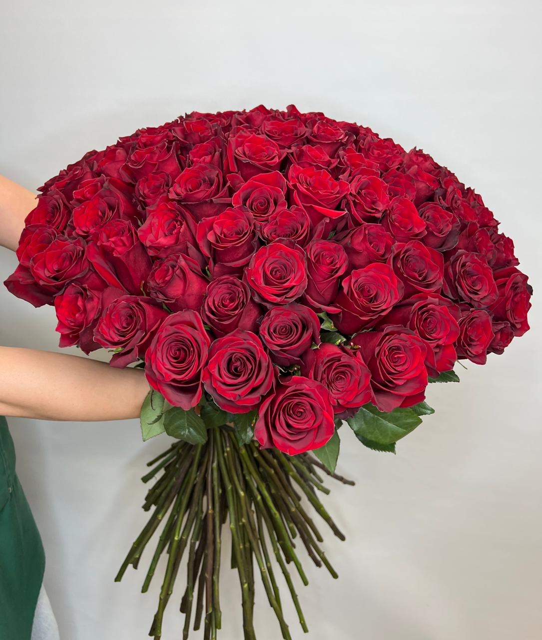 101 импортная роза "Эксплоер" 70см.