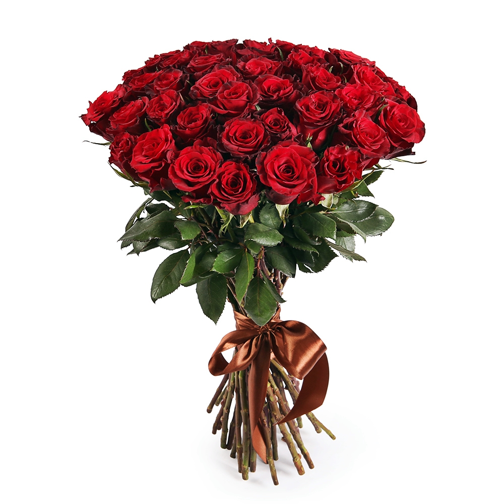 51 красная голландская роза 80см.