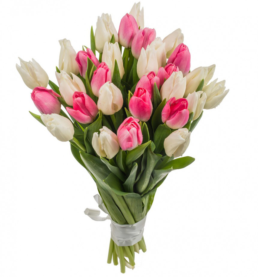 29 белых и розовых тюльпанов