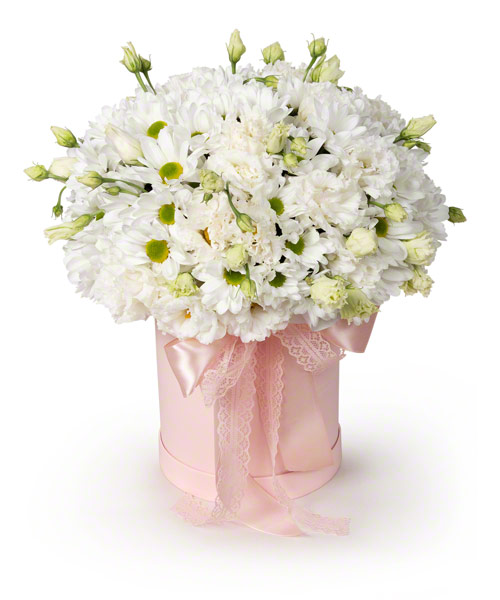 Мелодия нежности