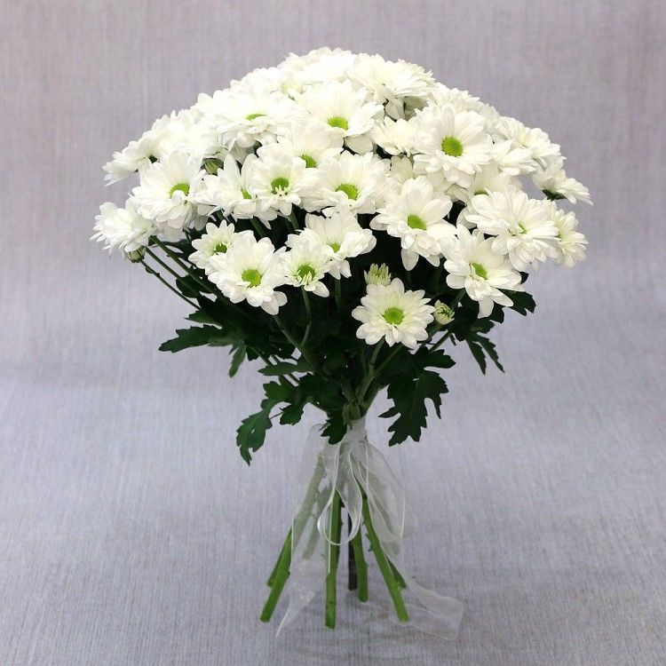 7 белых хризантем