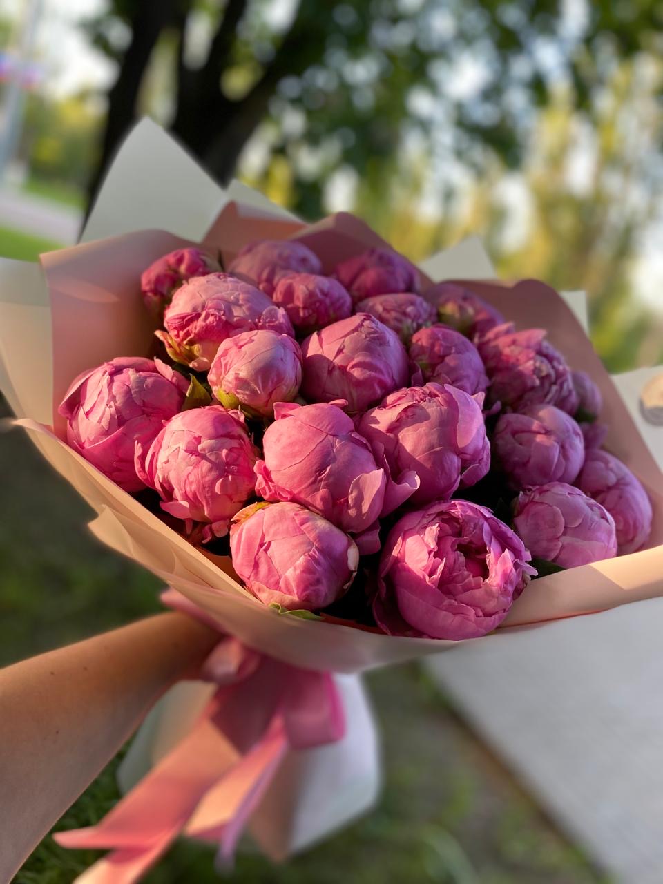 21 розовый пион в упаковке