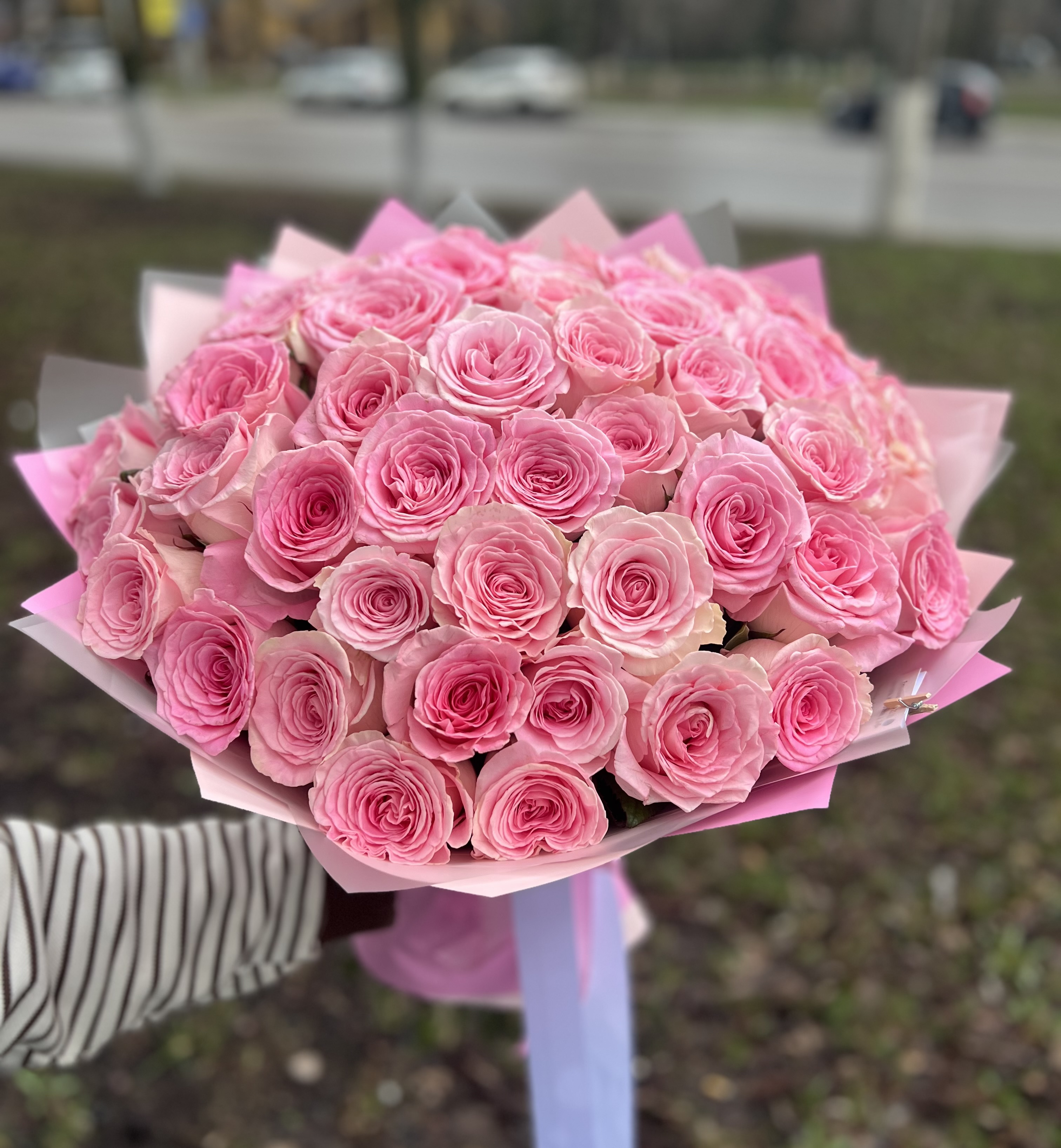 Розовые розы