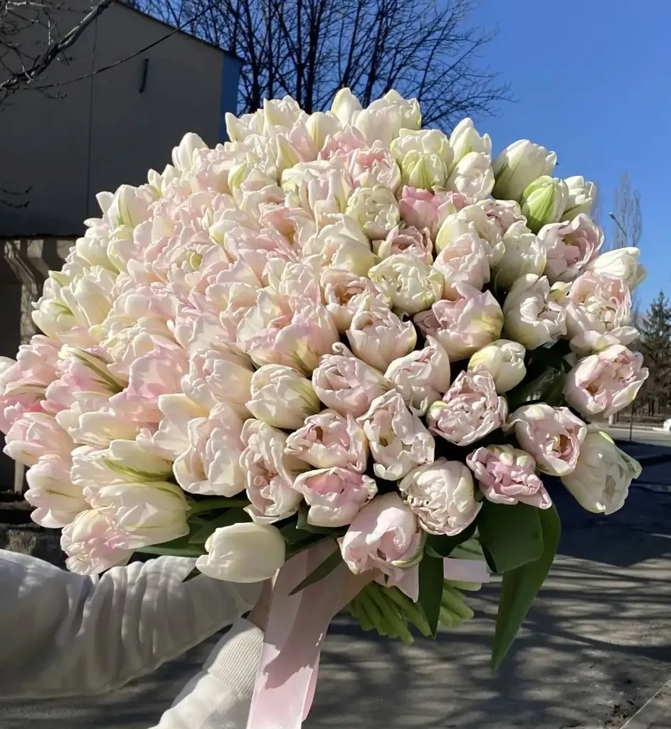 101 пионовидный тюльпан