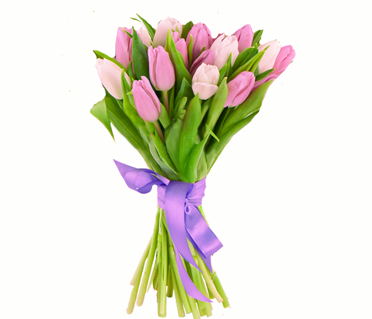 15 розовых тюльпанов