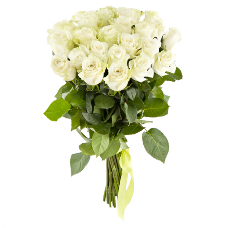 25 белых голландских роз 80см.