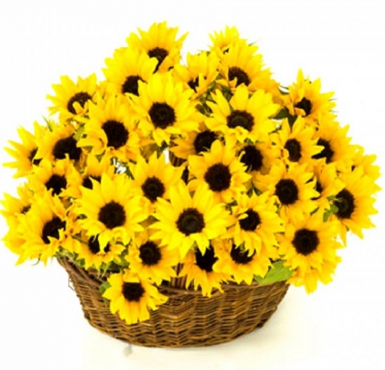 Осенний поцелуй