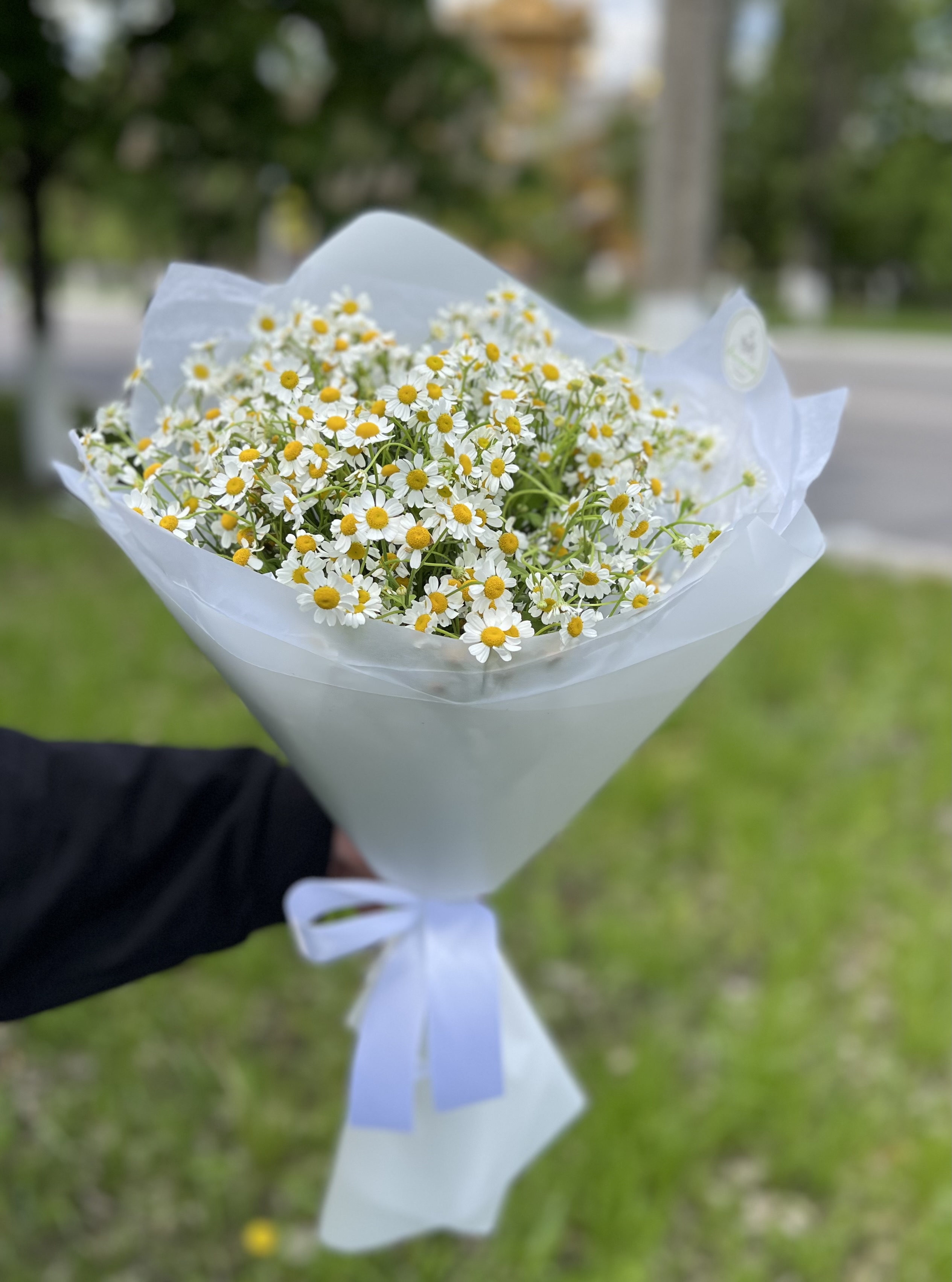 Весенние истории