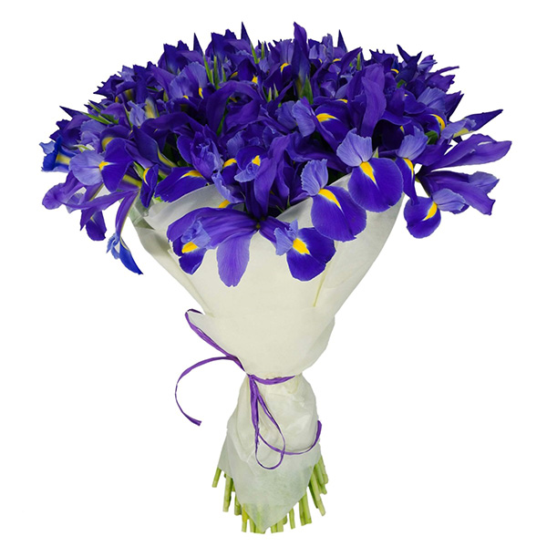 Букет из 31 ириса