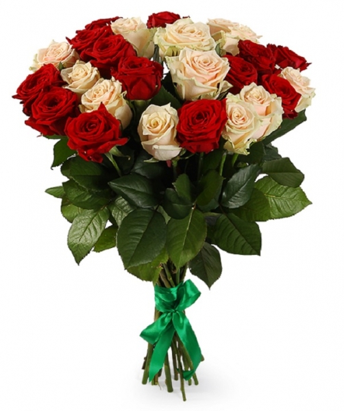 21 кремовая и красная роза 70 см.