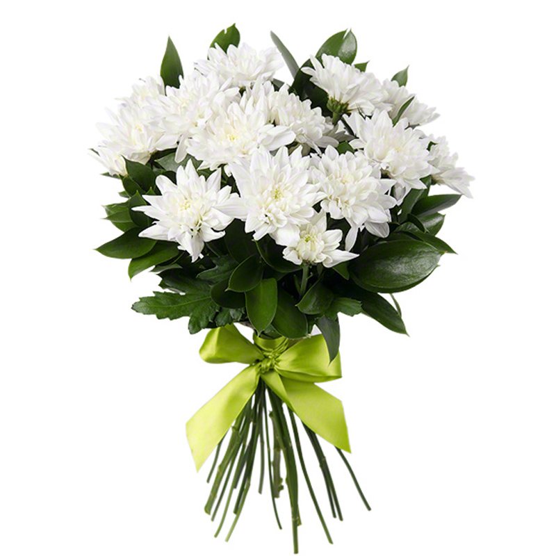 5 белых хризантем