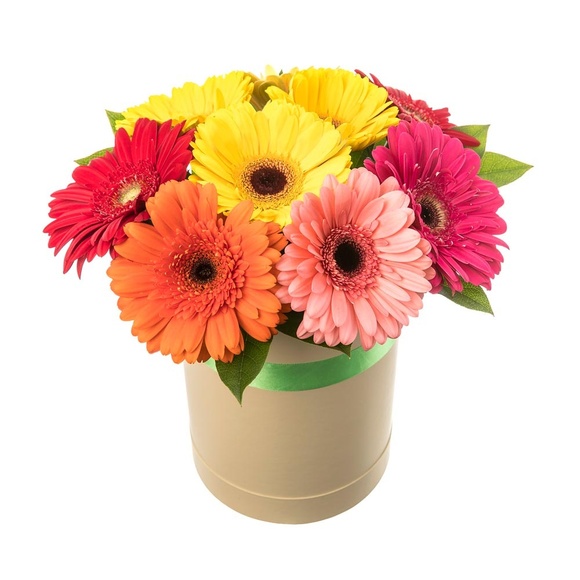 Солнечный лучик