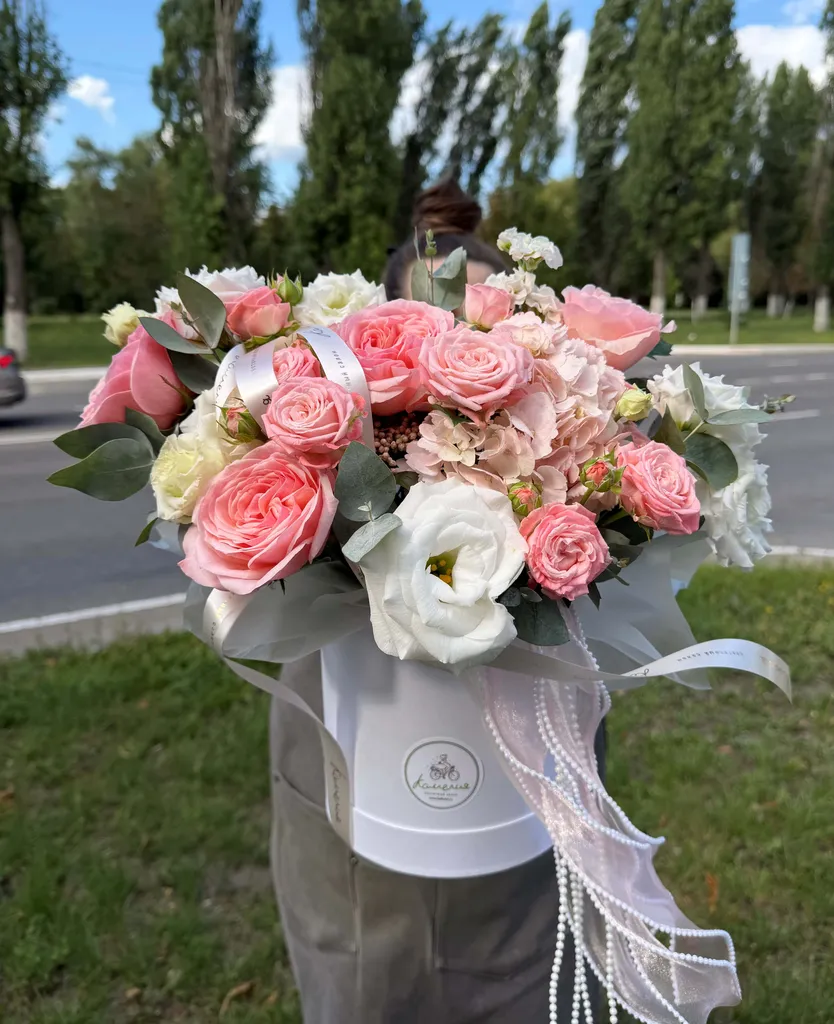 Комплимент