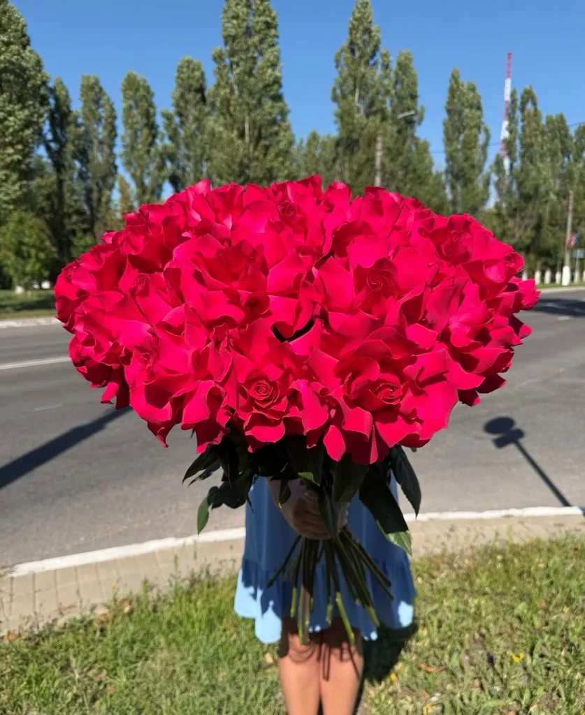 Малиновые французкие розы 70 см.