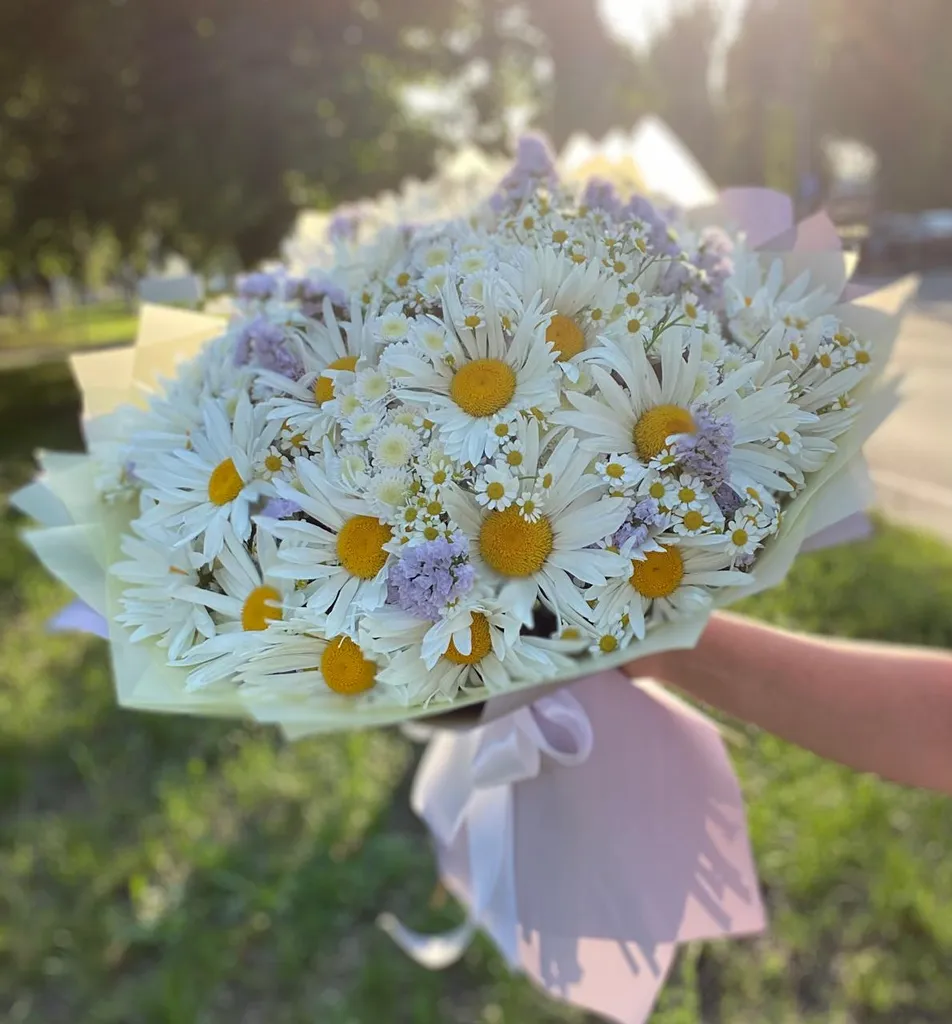 Милые ромашки