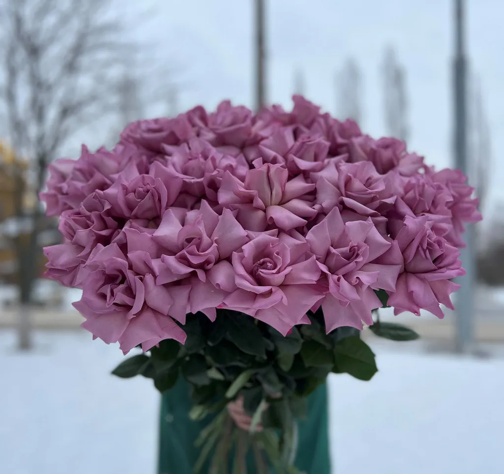 Сиреневые французкие розы 70 см.