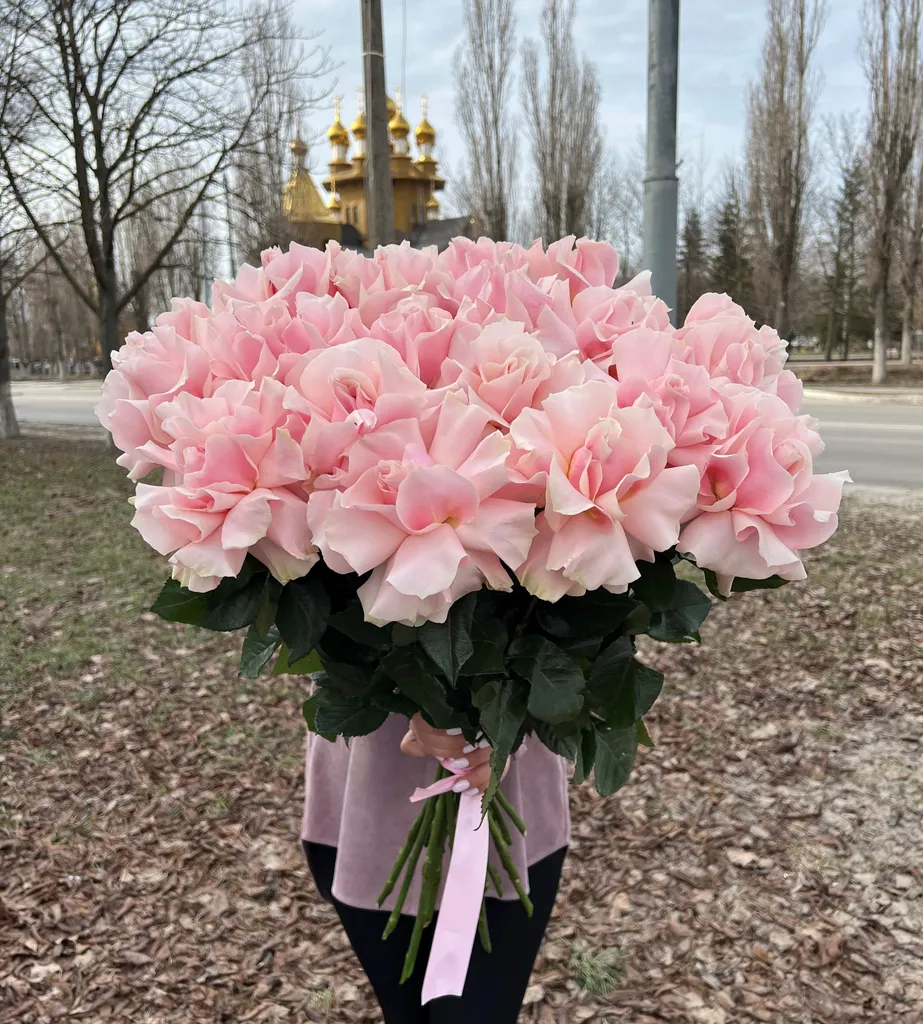 Розовые французкие розы