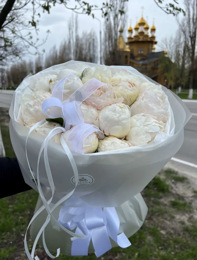 Зефир
