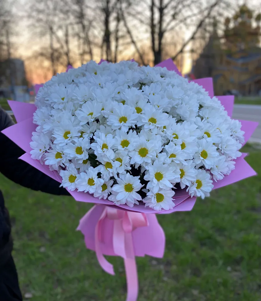 Волшебница
