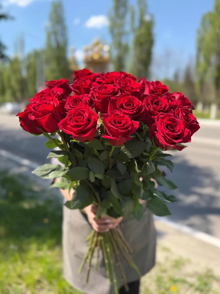 АКЦИЯ!!! Импортные розы сорта "Эксплоер" 70см. 