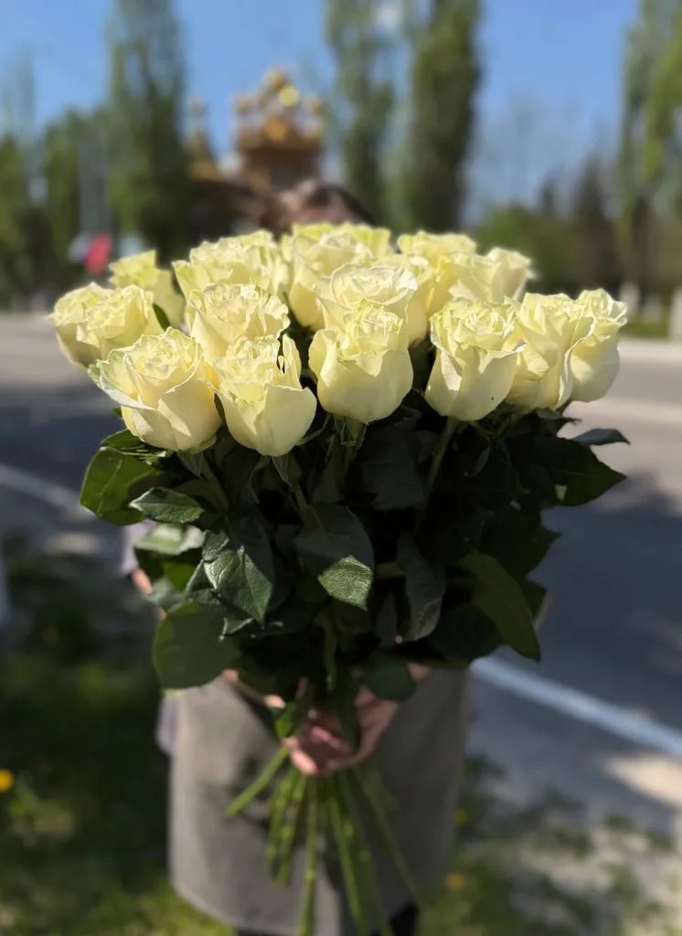 Импортные розы сорта "Мондиаль" 70см.