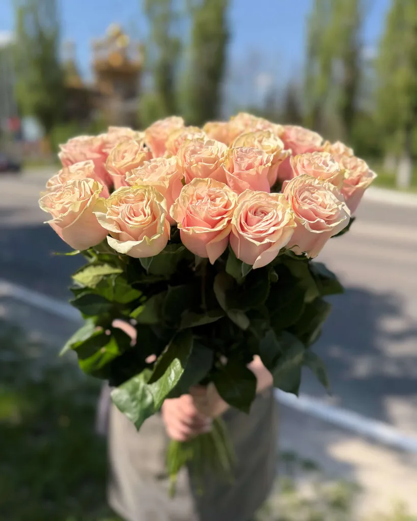Импортные розы сорта "Пинк Мондиаль" 70 см.