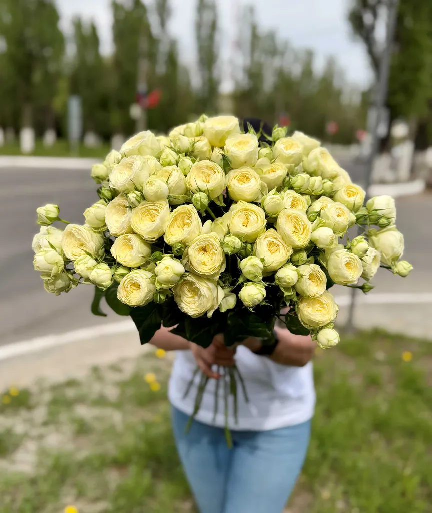 Импортные кустовые розы сорта "Новая   белая" 70 см.