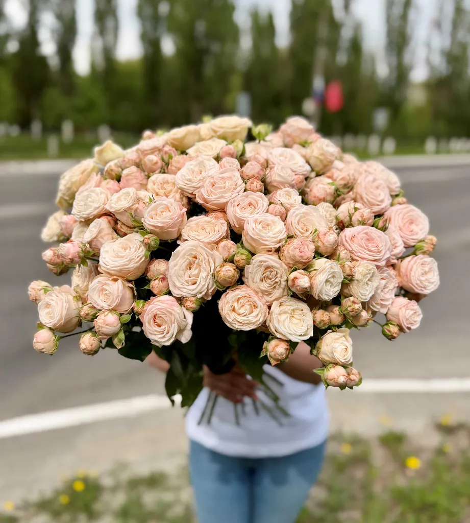 Импортные кустовые розы сорта "Бомбастик"