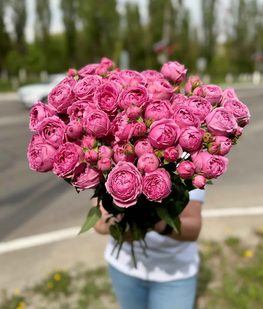 Импортные кустовые розы сорта "Мисти Баблз"  70 см.