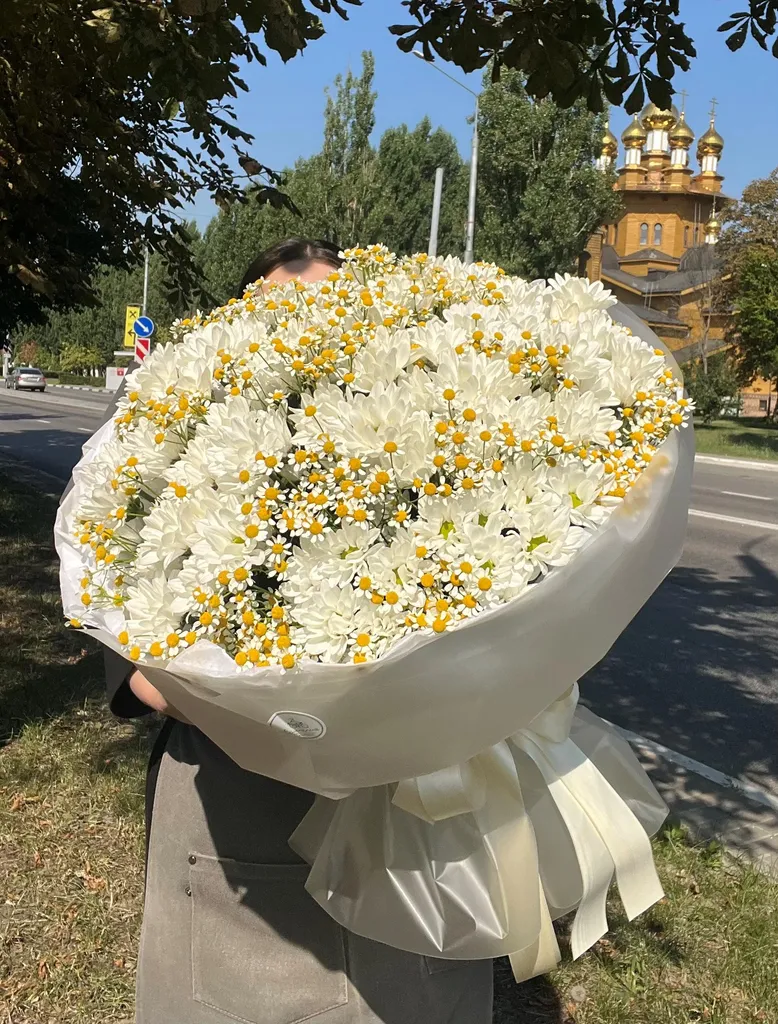 Душевные ромашки