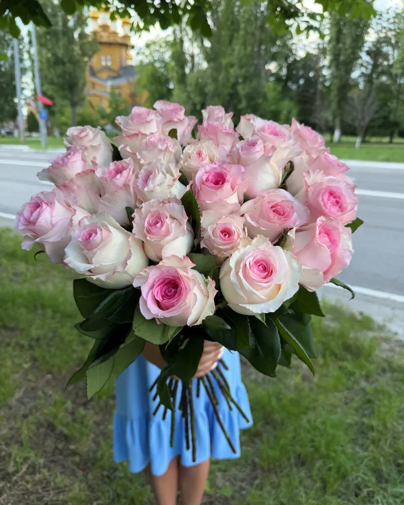 Импортные розы сорта "Мандала" 70 см.