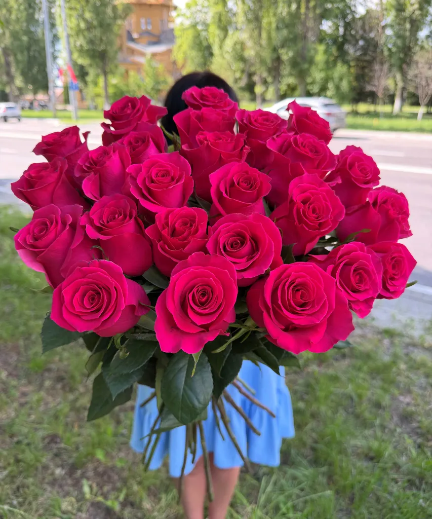 Импортные розы сорта "Гоча" 70см.
