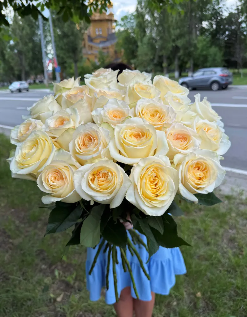 Импортные розы сорта "Кандерлайт" 70 см.