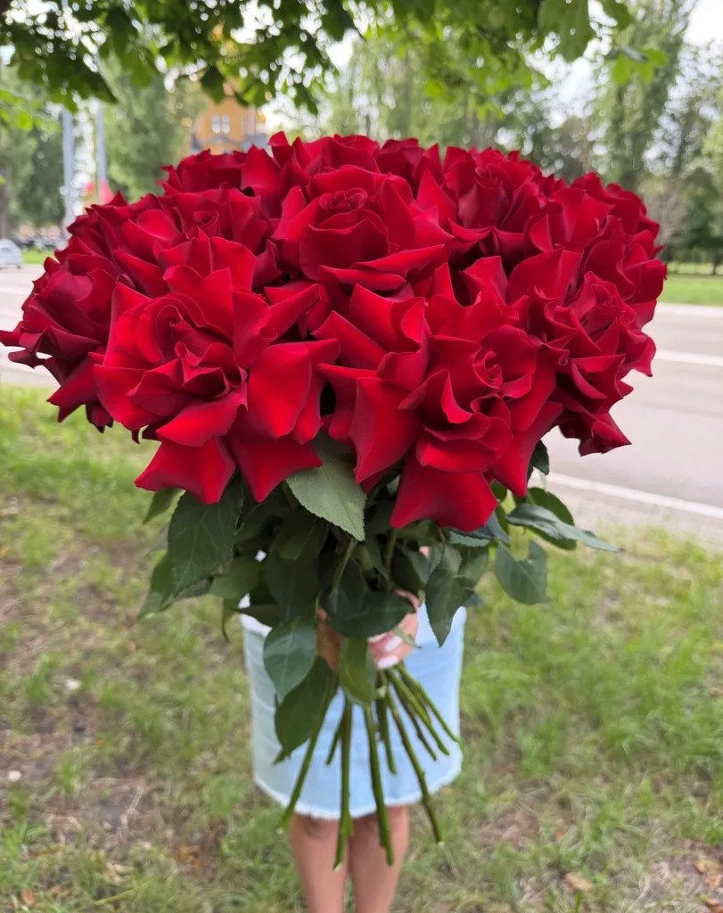Красные французкие розы 70см. 