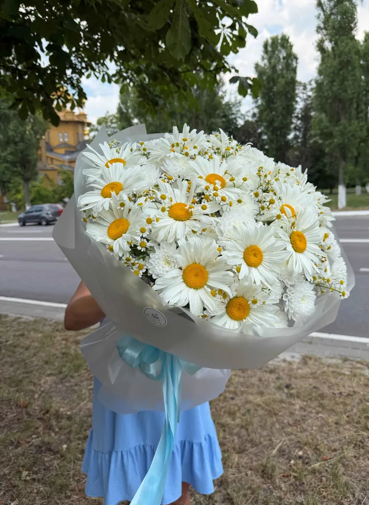 Искренность