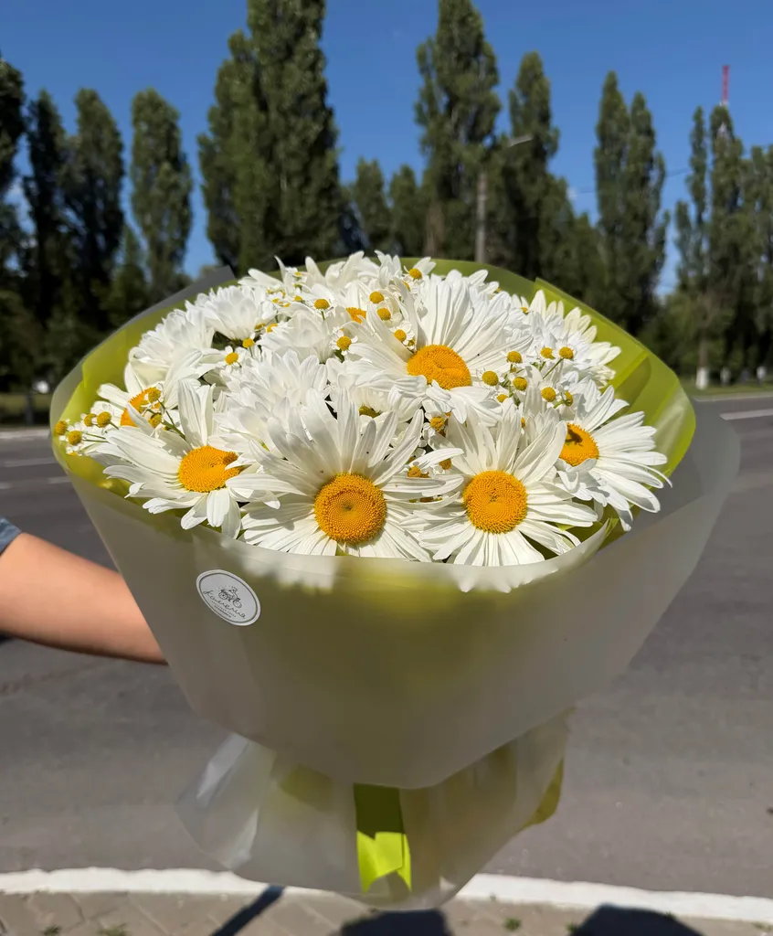 Милые ромашки