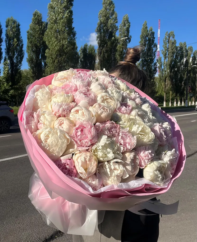 Мон Ами