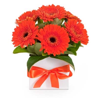 Оранжевое настроение