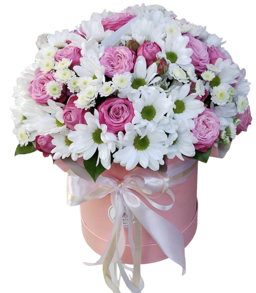 Очаровательные хризантемы