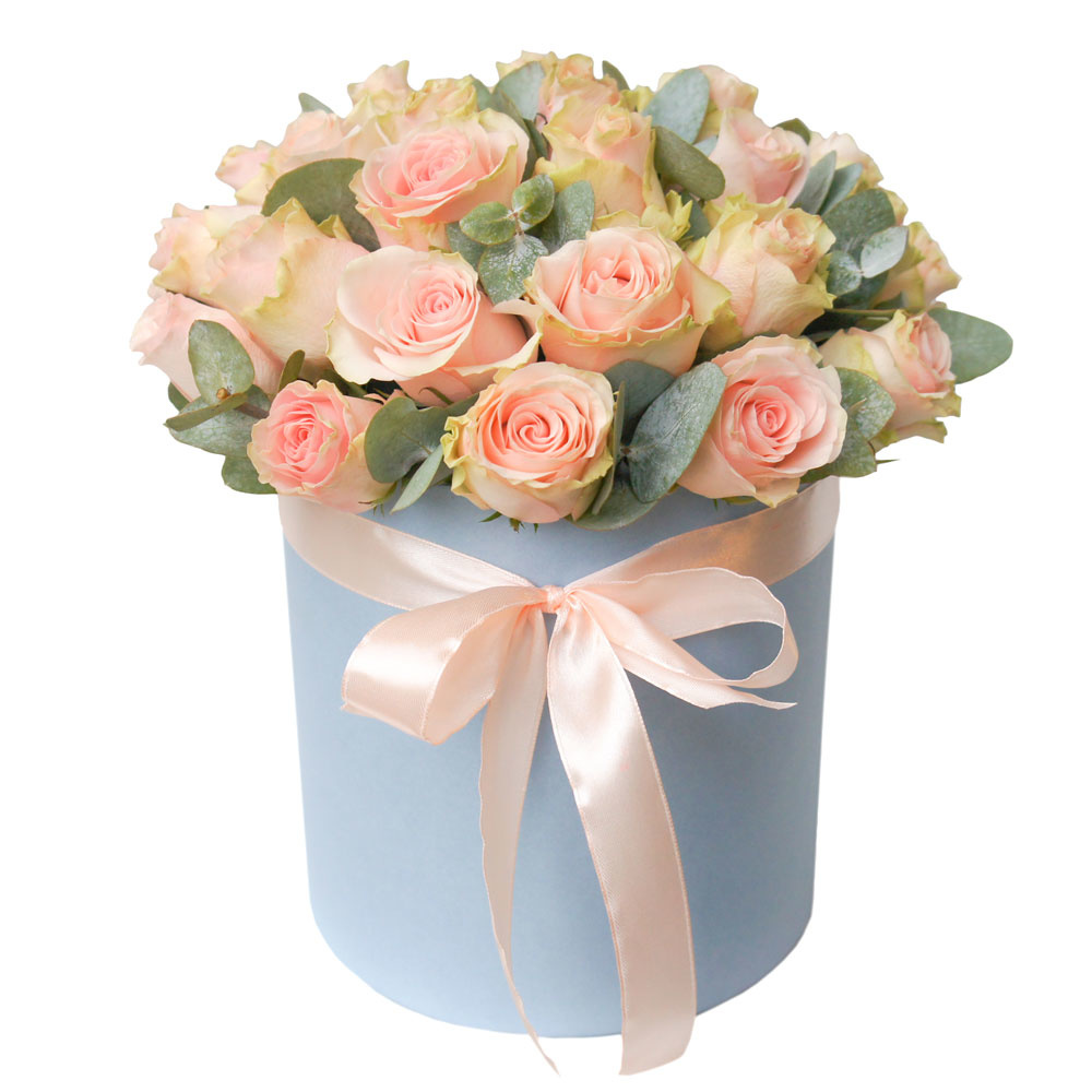 Нежное утро