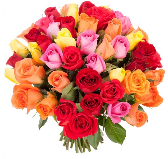 51 роза "Яркий микс" 40 см.