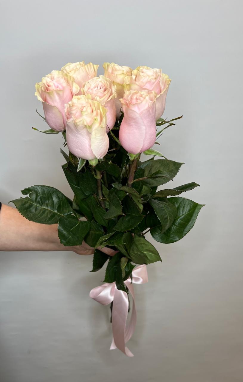 7 импортных роз "Пинк Мондиаль" 70 см.