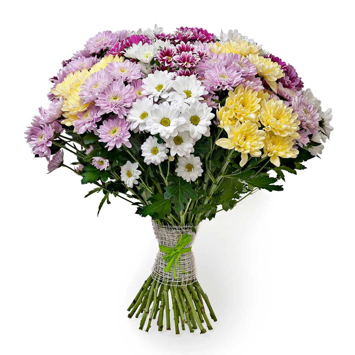 25 хризантем микс